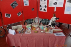 Open day 2012_13_009